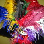 18-22 inch Ostrich Plume