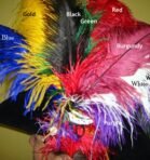18-22 inch Ostrich Plume (Duplicate)